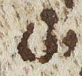 Divine Symbol - #32712