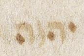 Divine Symbol - #32743