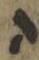 Letter - #32816