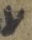 Letter - #32840