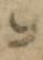 Letter - #32854