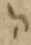 Letter - #32857