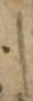 Letter - #32874