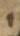 Letter - #32877