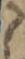 Letter - #32891