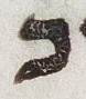 Letter - #32938