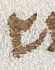 Letter - #32976