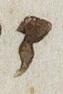 Letter - #33221