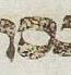 Letter - #33337