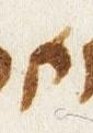 Letter - #33361
