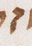 Letter - #33423