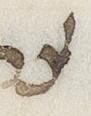 Letter - #33451