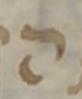 Letter - #33455