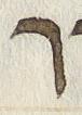 Letter - #33484