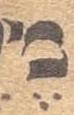 Vowel/Diacritic - #33494