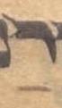 Vowel/Diacritic - #33495