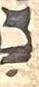 Vowel/Diacritic - #33503