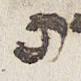 Letter - #33588
