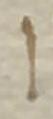 Letter - #33621