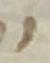 Letter - #33641