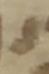 Letter - #33669