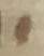 Letter - #33673