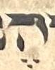 Vowel/Diacritic - #33887