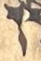 Letter - #33920
