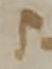 Letter - #33928