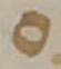 Letter - #33933