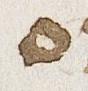Letter - #33956