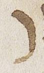 Letter - #33978
