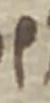 Letter - #33988