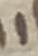 Letter - #34018