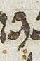 Letter - #34134