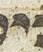 Letter - #34142