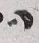 Letter - #3621