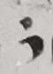 Abbreviation - #3650