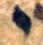 Letter - #3694