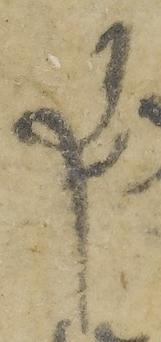 Ligature-Connected - #36957