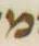 Letter - #3809
