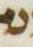 Letter - #3827