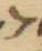 Letter - #3836