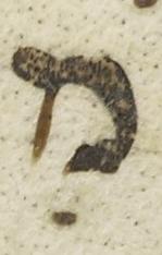 Vowel/Diacritic - #38376