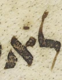 Vowel/Diacritic - #38377