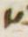 Letter - #3852