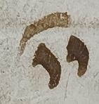 Divine Symbol - #38658