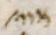 Abbreviation - #3913