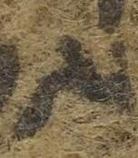 Ligature-Connected - #39132