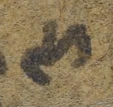 Ligature-Connected - #39147